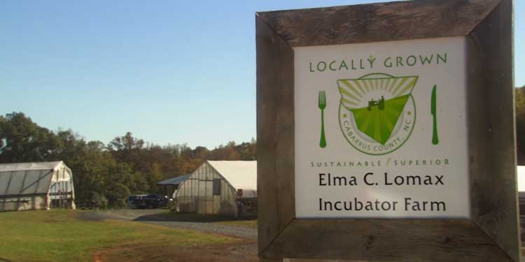 After cold winter, Lomax Farm coming back strong in Concord