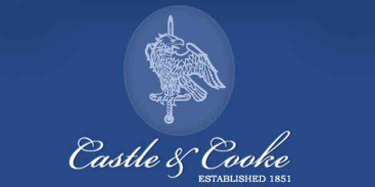 Clyde Higgs new EVP at Castle & Cooke, Atlantic American Jeff Austin out at Club at Irish Creek  